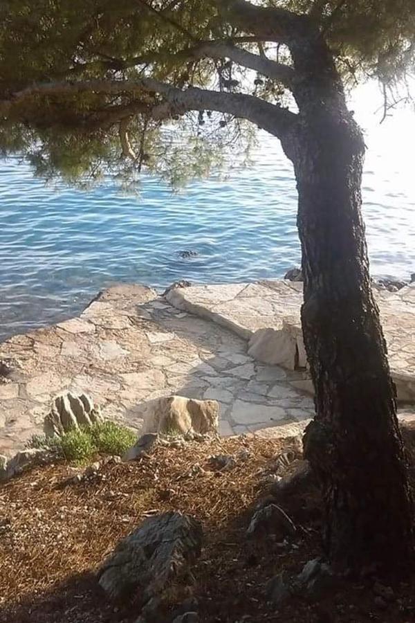 Apartments By The Sea Drage, Biograd - 19189 Pakoštane Εξωτερικό φωτογραφία